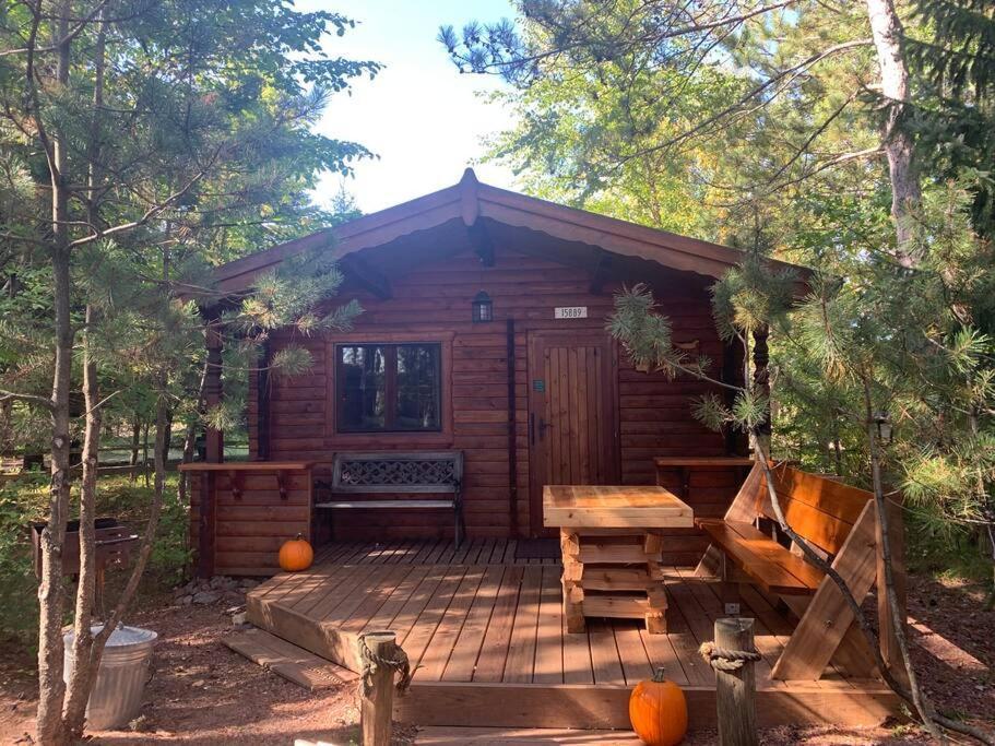 Honeybear Hideaway Cabin Hayward Buitenkant foto