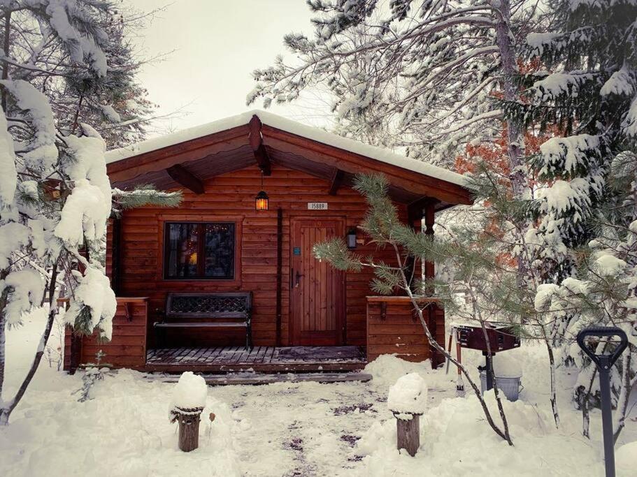 Honeybear Hideaway Cabin Hayward Buitenkant foto