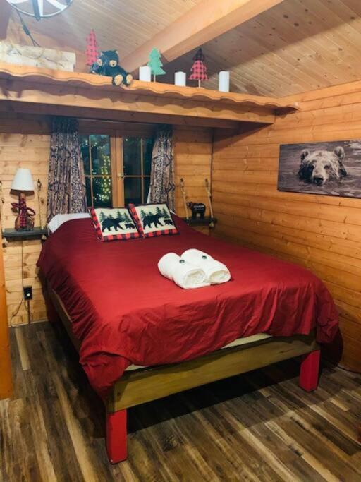 Honeybear Hideaway Cabin Hayward Buitenkant foto