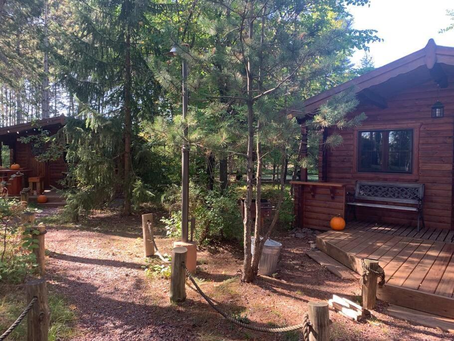 Honeybear Hideaway Cabin Hayward Buitenkant foto