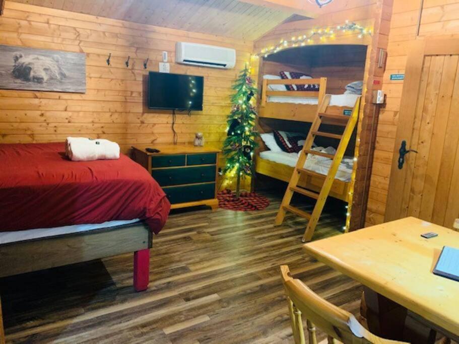 Honeybear Hideaway Cabin Hayward Buitenkant foto