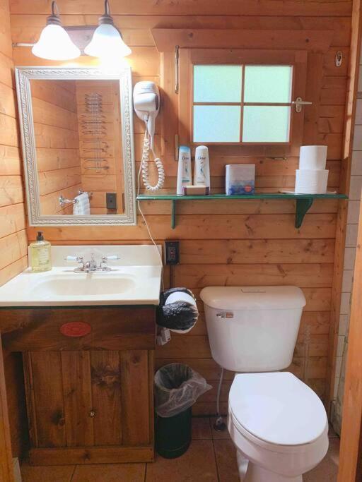 Honeybear Hideaway Cabin Hayward Buitenkant foto