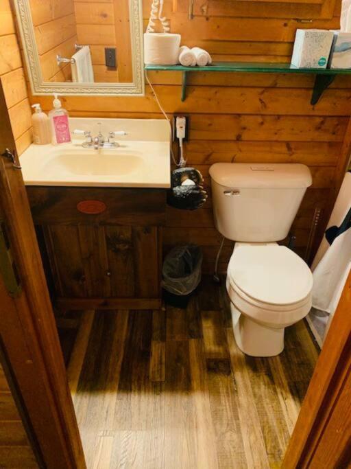 Honeybear Hideaway Cabin Hayward Buitenkant foto