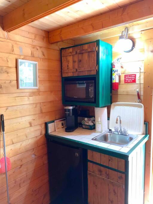 Honeybear Hideaway Cabin Hayward Buitenkant foto