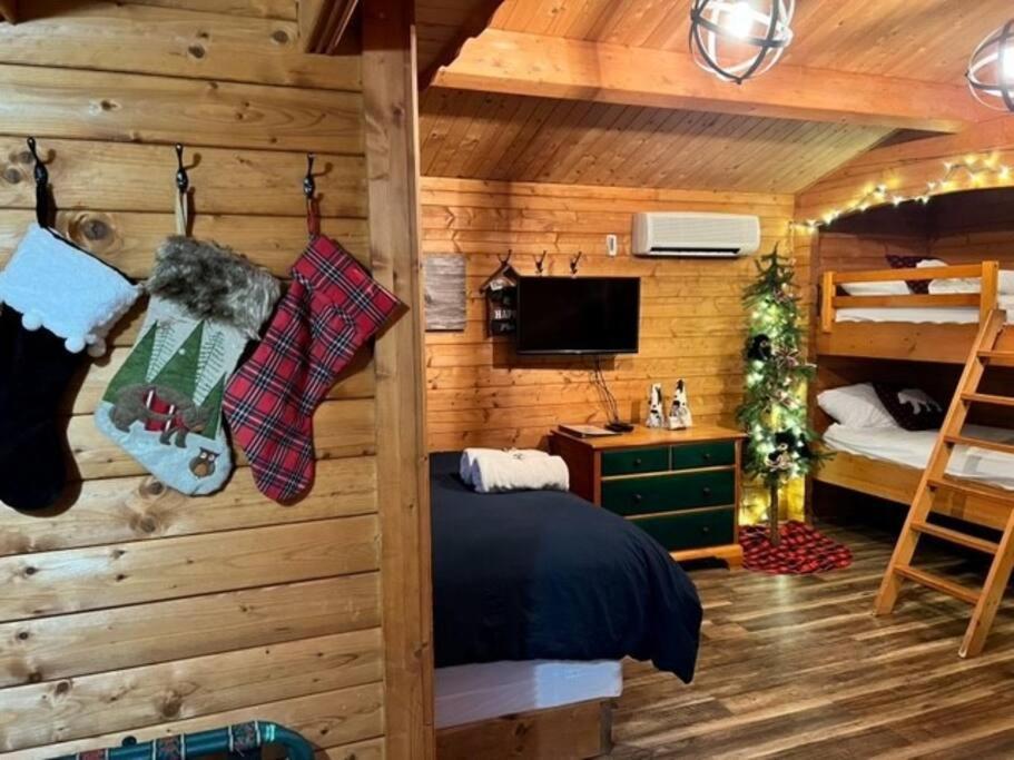 Honeybear Hideaway Cabin Hayward Buitenkant foto